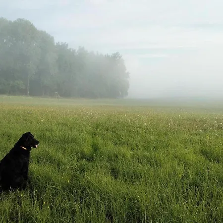 Pet-friendly Bechyně