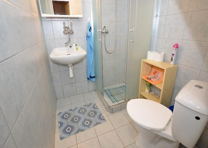 Pet-friendly بيكيني