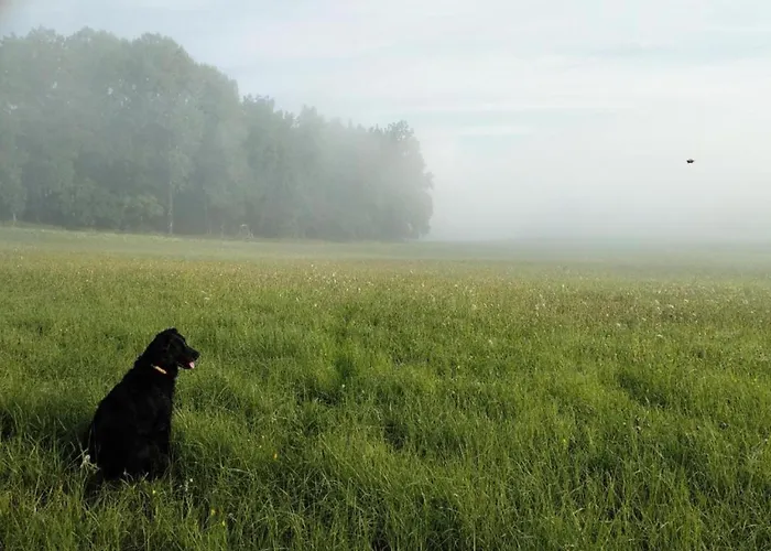 Pet-friendly Bechyně